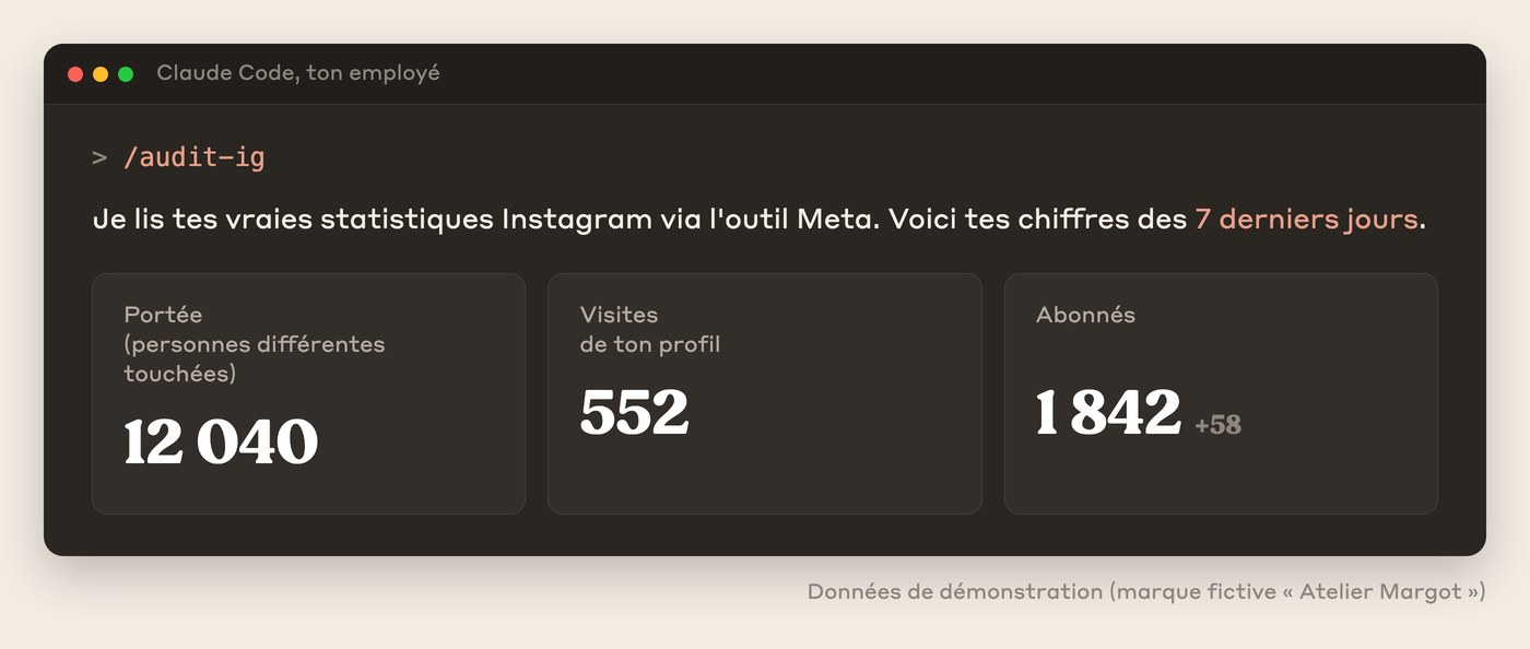 Ce que ton agence lit en premier : ta portée, tes visites de profil et tes abonnés, affichés dans Claude Code, données de démonstration