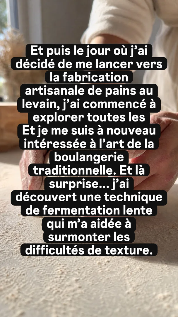 Ta version, story 4 sur 4 : Et puis le jour où j'ai décidé de me lancer vers la fabrication artisanale de pains au levain, j'ai commencé à explorer toutes les méthodes possibles. Et je me 